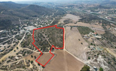 Agricultural 39131 m2 for sale in Larnaca