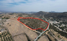 Agricultural 39131 m2 for sale in Larnaca