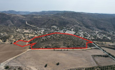Agricultural 39131 m2 for sale in Larnaca