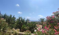 Spacious 3 bedroom furnished villa with swimming pool to rent in Peyia
