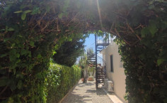 Spacious 3 bedroom furnished villa with swimming pool to rent in Peyia