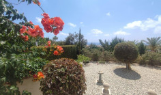 Spacious 3 bedroom furnished villa with swimming pool to rent in Peyia