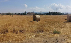 Residential 8594 m2 for sale in Psimolofou, Nicosia