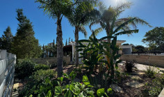 Luxury 4 bedrooms house with swimming pool for sale in Moni