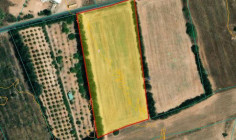 Residential 4813 m2 for sale in Kouklia, Paphos
