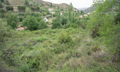 Luxury residential for sale in Galata, Nicosia