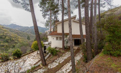 House (detached) in Pelendri, Limassol for sale 