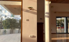 House (detached) in Agios Nektarios, Limassol for rent 