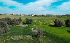 Lovely land for sale in Kalo Chorio, Larnaca