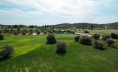 Lovely land for sale in Kalo Chorio, Larnaca