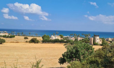Residential 8027 m2 for sale in Poli Crysochous, Paphos