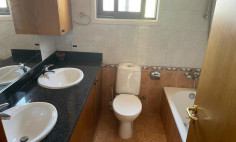 Apartment (flat) in Pallouriotissa, Nicosia for rent 