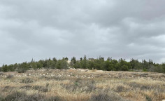 Residential land 1,462 m2 in Pyla , Larnaca