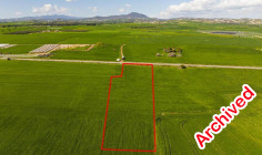 Luxury agricultural 6705 m2 for sale in Softades