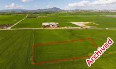Agricultural 6705 m2 for sale in Softades