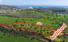 Field in Psematismenos, Larnaca 