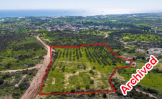 Field in Maroni, Larnaca , Larnaca