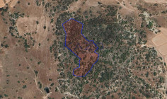 Large field for sale in green Parekklisia area , Limassol