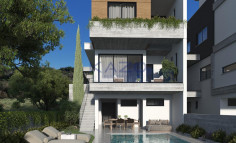 Luxury Agios Athanasios villa with pool gym and sea view 