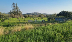 9,040m2 residential land for sale Parekklisia Limassol , Limassol 9,040m2 residential land for sale Parekklisia Limassol , Limassol