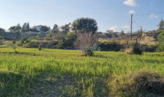 9,040m2 residential land for sale Parekklisia Limassol , Limassol 9,040m2 residential land for sale Parekklisia Limassol , Limassol