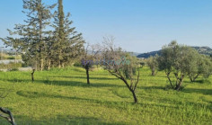 9,040m2 residential land for sale Parekklisia Limassol , Limassol 9,040m2 residential land for sale Parekklisia Limassol , Limassol
