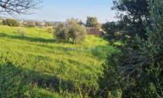 9,040m2 residential land for sale Parekklisia Limassol , Limassol 9,040m2 residential land for sale Parekklisia Limassol , Limassol