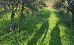 9,040m2 residential land for sale Parekklisia Limassol , Limassol 9,040m2 residential land for sale Parekklisia Limassol , Limassol