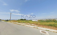 Large 8177m2 field for sale in Chloraka , Paphos