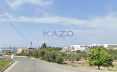 Large 8177m2 field for sale in Chloraka , Paphos