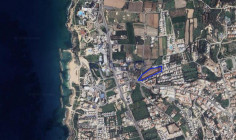 Large 8177m2 field for sale in Chloraka , Paphos