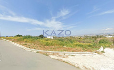 Large 8177m2 field for sale in Chloraka , Paphos
