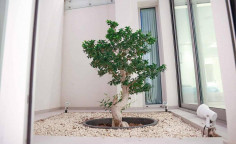 Spacious 6 bedroom house for sale in Protaras
