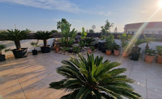 3 bed apartment for sale in Deryneia 3 bed apartment for sale in Deryneia