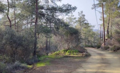 Spacious land for sale in Lythrodontas, Nicosia