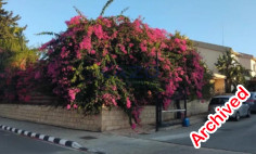 Spacious four bedroom bungalow with pool in Parekklisia 