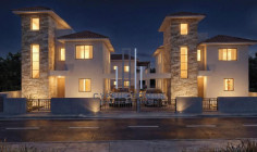 New modern house with swimming pool for sale in Moni area 