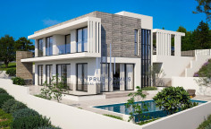 New luxury villa with swimming pool for sale 