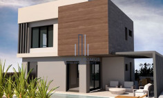 House fully renovated with swimming pool for sale in Panthea area 
