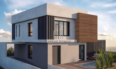 House fully renovated with swimming pool for sale in Panthea area 