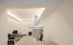 Commercial building for sale in Neapolis area 