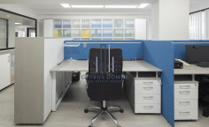 Commercial building for sale in Neapolis area 
