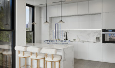 New luxury penthouse with roof garden & swimming pool for sale in Mouttagiaka area 