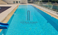 Villa for sale with swimming pool in paniotis area 