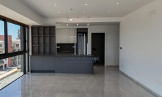 Penthouse with roof garden for sale in Agios Athanasios area 