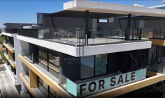 Penthouse with roof garden for sale in Agios Athanasios area 