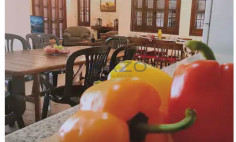Spacious four bedroom house in green Platres village 