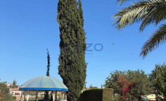 Spacious Pyrgos villa with pool gym 