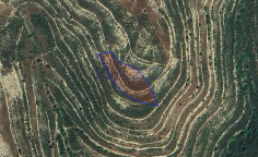 Large 2007 m2 field for sale in Lofou (landlocked) , Limassol