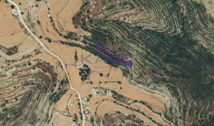 Large 1673m2 field for sale in Lofou village (landlocked) , Limassol